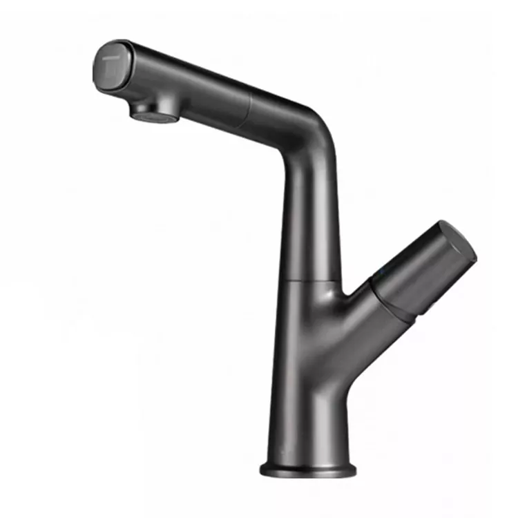 Lift Pull-Out Swivel Basin Krunn
