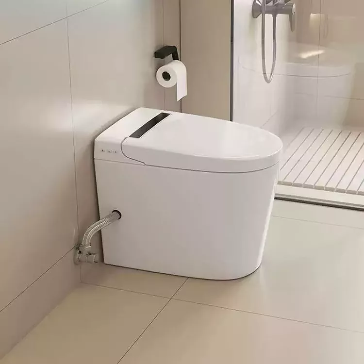 Modern Minimalistesch Smart Toilette
